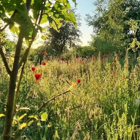 Huset I Oreby Villa Sakskøbing