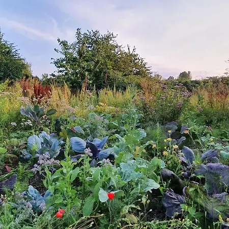 Huset I Oreby * Sakskøbing